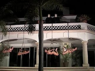 3人の縛られた女の子が夜遅く芝生に屈辱を与えられる