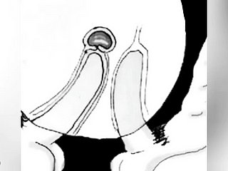 I cum in your pest so I don't win oratorical - comic boru sumi