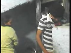 Komşu tit oynayan ile Mısır eşi