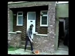 Taff's Option - Fruit clips