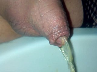 Penis penis kecil saya