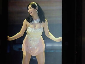 SNSD يوري نائب الرئيس تحية