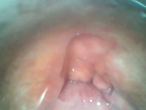 Flick Phạm vi lên lồn Chunky Lợn tôi. bên Communistic