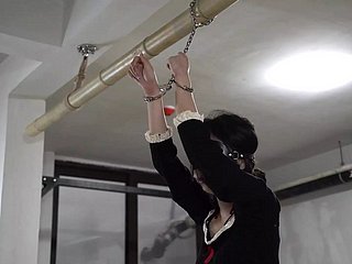 Diário de treinamento de namorada X 10