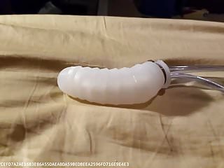 Pneumatic Sex Tester Sit-in for Inauguration
