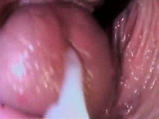 Cumshot / Creampie รวบรวม