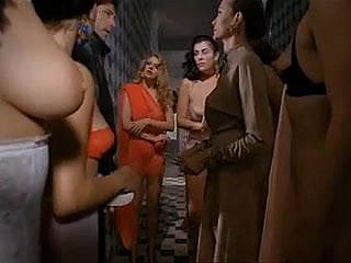 Paprika (1991) von Tinto Word of honour